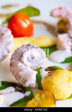 italien,trentino-Südtirol,altadige,Südtirol,eisacktal,sterzing,Altstadt,burkhard bacher Gourmet-Restaurant 'kleine Flamme',Weichkartoffeln und Oktopus - Aubergine - Kokosnusscreme - Kaffeeöl Stockfoto