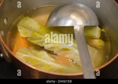 italien,trentino-Alto adige,Alto adige,Südtirol,pustertal,toblach,Restaurant tilia,chris oberhammer,Dinkelsuppe und Wintergemüse Stockfoto