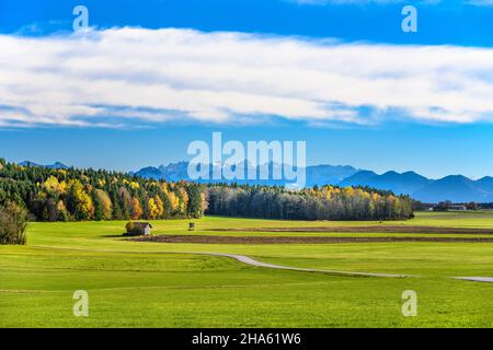 deutschland,bayern,oberbayern,kreis ebersberg,baiern,Bezirk pflege,Herbstlandschaft gegen das kaisergebirge Stockfoto