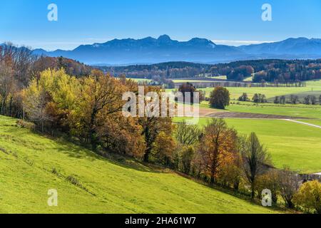 deutschland,bayern,oberbayern,Kreis ebersberg,baiern,Kreis Jakobesbaiern,Blick von der jakobskirche über das glonntal zum wendelsteinmassiv Stockfoto