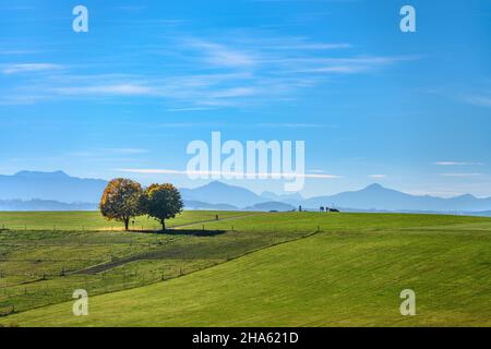 deutschland,bayern,oberbayern,Bezirk rosenheim,tuntenhausen,bezirk jakobsberg,Herbstlandschaft gegen Alpenkette Stockfoto