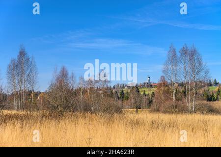 deutschland,bayern,oberbayern,tölzer Land,isarwinkel,gaißach,Blick über die attenloher filzen nach gaißach mit der Kirche sankt michael Stockfoto