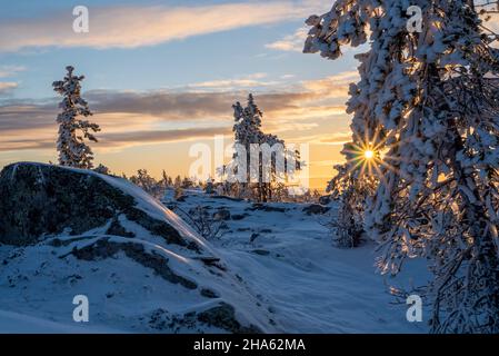 Sonnenuntergang auf dem särkitunturi, Berg bei muonio, lappland, finnland Stockfoto