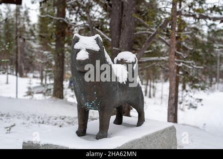 husky, Denkmal, hetta, enontekiö, lappland, finnland Stockfoto