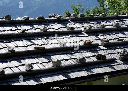 deutschland, bayern, oberbayern, traunstein, chiemgau, chiemgauer alpen, hochgern, Moaralm, Dach, Holzschindel, Detail Stockfoto