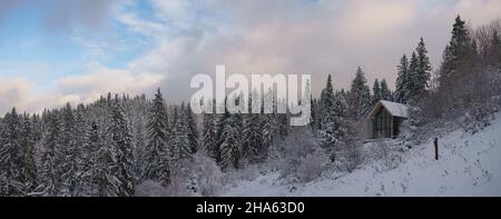 Panorama-Aufnahme von modernen Ferienhaus in verschneiten Kiefernwäldern Stockfoto
