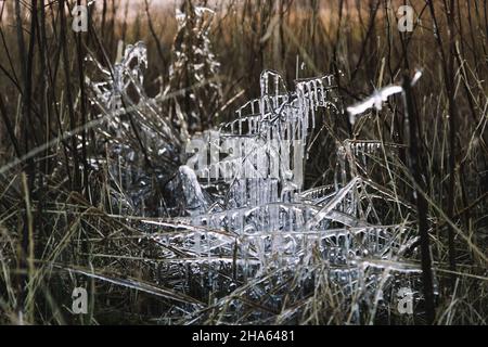 Gefrorene Zweigstelle, obersee, bielefeld Stockfoto