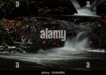 bach im Silberbachtal Stockfoto