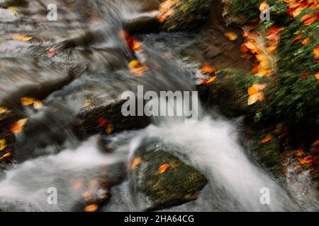 bach im Silberbachtal Stockfoto