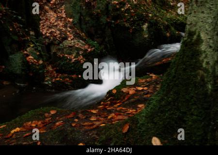 bach im Silberbachtal Stockfoto