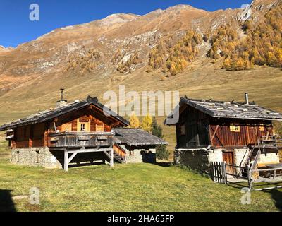 Herbstlandschaft,Hütten der Fanealm in Südtirol,Fane almdorf,malga Fane,Lärchen,Valsertal,dolomiten,brixen,vals,Südtirol,italien Stockfoto