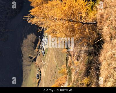 Herbstlandschaft über der Fanealm in Südtirol,Fane almdorf,malga Fane,Lärchen,Valsertal,dolomiten,brixen,vals,Südtirol,italien Stockfoto