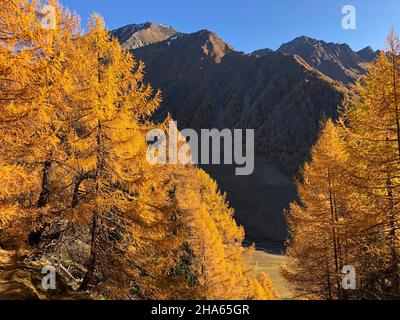 Herbstlandschaft über der Fanealm in Südtirol,Fane almdorf,malga Fane,Lärchen,Valsertal,dolomiten,brixen,vals,Südtirol,italien Stockfoto