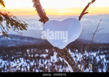 Herz aus Schnee in einer Gabelung bei Sonnenuntergang am Berg lusen, Valentinstag, bayern, deutschland Stockfoto