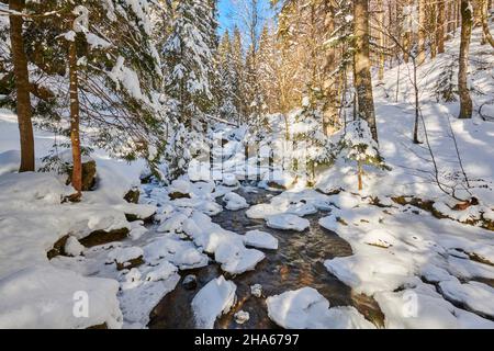 Gefrorener Wildbach im Winter, riesloch fällt, bodenmais, bayerischer Wald Nationalpark, bayern, deutschland Stockfoto