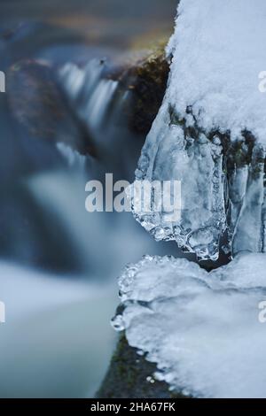 Eiszapfen am Ufer, wilder Fluss höllbach, der im Winter durchfließt, Naturschutzgebiet hölle, bayern, deutschland Stockfoto