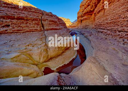 Ein Slot Canyon entlang der Cathedral Wash im Glen Canyon Recreation Area Arizona. Dieser Canyon endet am Colorado River. Stockfoto