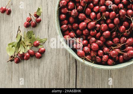 Eine Schale mit roten Beeren aus Weißdorn (Crataegus monogyna) auf rustikalem Holztisch-Hintergrund Stockfoto