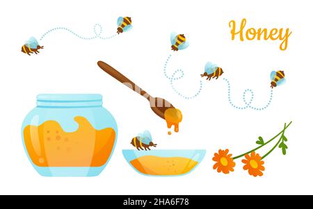 Bienenfliege und Honig im Glas Öko-Set. Hölzerner Honigtauer, tropfenfließend, flüssige Propolis. Gesundes natürliches Bio-Produkt. Verpackung Lebensmittel Design Konzept Cartoon Vektor Stock Vektor