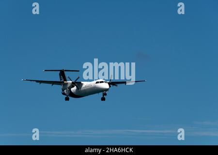 De Havilland Canada Dash 8 311, Flugzeug, ZK-NER, Air New Zealand, Wellington Airport, Nordinsel, Neuseeland Stockfoto