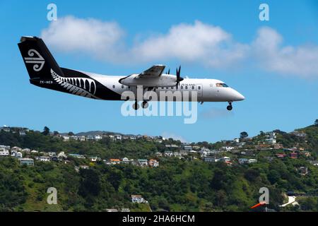 De Havilland Canada Dash 8 311, Flugzeug, ZK-NER, Air New Zealand, Wellington Airport, Nordinsel, Neuseeland Stockfoto