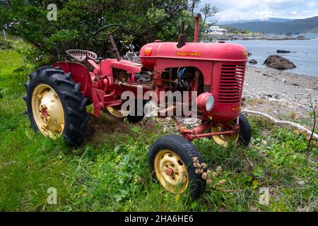 Vintage Massey Harris Traktor, Breaker Bay, Seatoun, Wellington, North Island, Neuseeland Stockfoto