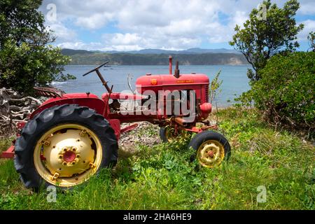 Vintage Massey Harris Traktor, Breaker Bay, Seatoun, Wellington, North Island, Neuseeland Stockfoto