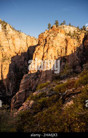 Der Gipfel des Refrigerator Canyon vom West Rim Trail im Zion National Park Stockfoto