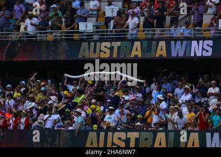 Brisbane, Großbritannien. 11th Dez 2021. Fans feiern am 12/11/2021 in Brisbane, Großbritannien, den Sieg für Australien. (Foto von Patrick Hoelscher/News Images/Sipa USA) Quelle: SIPA USA/Alamy Live News Stockfoto