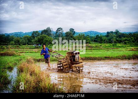 Landwirt pflügt mit einem Handtraktor die Felder im ländlichen Thailand Stockfoto