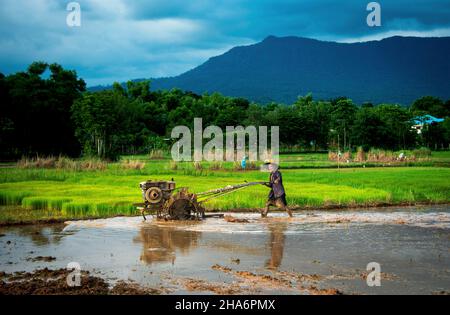 Pflügen der Felder mit einem Handtraktor im ländlichen Thailand Stockfoto