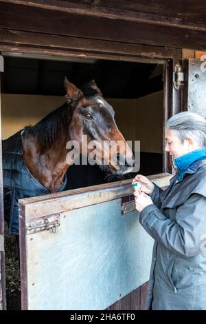 Eine reife Reiterin verbringt die letzten kostbaren Stunden, bevor ein Pferd aufgrund von schlechtem Gesundheitszustand und Alter abgesetzt wird. Stockfoto