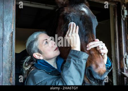 Eine reife Reiterin verbringt die letzten kostbaren Stunden, bevor ein Pferd aufgrund von schlechtem Gesundheitszustand und Alter abgesetzt wird. Stockfoto
