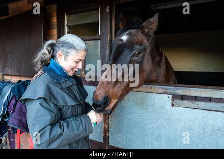 Eine reife Reiterin verbringt die letzten kostbaren Stunden, bevor ein Pferd aufgrund von schlechtem Gesundheitszustand und Alter abgesetzt wird. Stockfoto