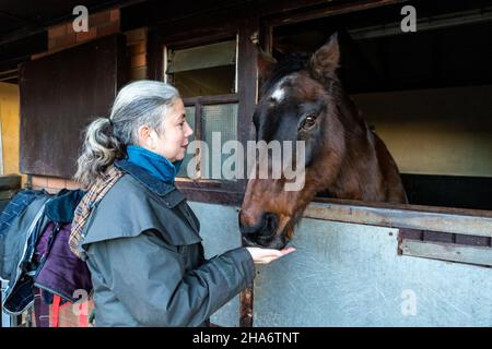 Eine reife Reiterin verbringt die letzten kostbaren Stunden, bevor ein Pferd aufgrund von schlechtem Gesundheitszustand und Alter abgesetzt wird. Stockfoto