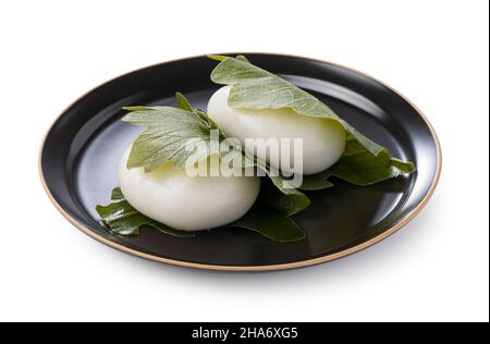 Kashiwa-mochi Reiskuchen auf weißem Hintergrund. Kashiwa Mochi ist eine japanische Süßwarenfabrik. Stockfoto