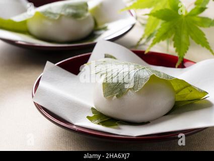 Kashiwa Mochi (Reiskuchen) auf einem grünen Hintergrund platziert. Kashiwa Mochi ist eine japanische Süßwarenfabrik. Stockfoto