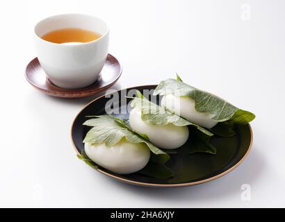 Kashiwa Mochi und grüner Tee auf weißem Hintergrund. Kashiwa Mochi ist eine japanische Süßwarenfabrik. Stockfoto