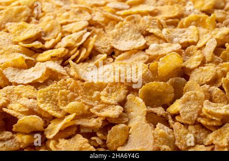 Cornflakes über den gesamten Bildschirm. Nahaufnahme Stockfoto