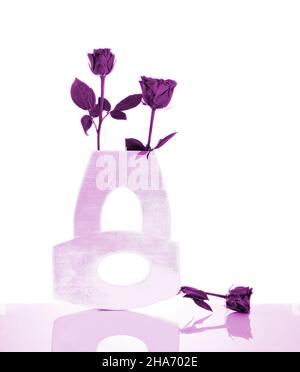 Zwei pinke Vasen, die in verschiedenen Winkeln auf weißem Hintergrund platziert und mit violetten Rosen gefüllt sind Stockfoto