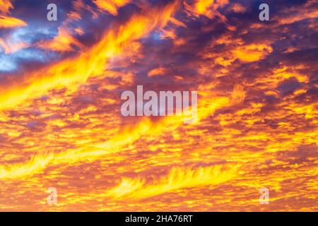 Nahaufnahme der von der aufgehenden Sonne unterbeleuchteten Altocumulus stratiformis-Wolken (nicht im Bild), die das Aussehen von Wolken auf Feuer erwecken. Einige blaue Flecken zwischen den Wolken. Stockfoto