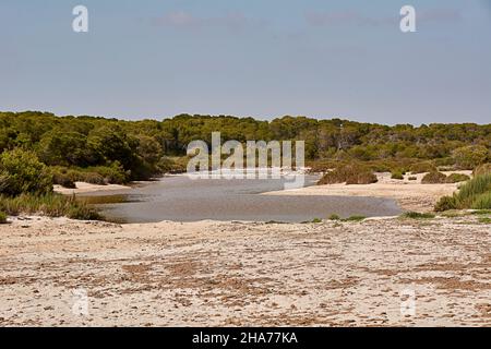 Salzwasserlagune inmitten der Vegetation. Balearen, weißer Sand, klarer Himmel. Stockfoto