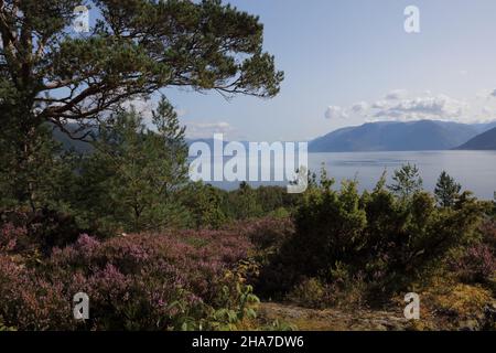 Norwegen - Sognefjord bei Nordrevik / Norwegen - Sognefjord bei Nordrevik / Stockfoto