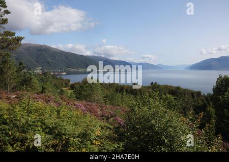 Norwegen - Sognefjord bei Nordrevik / Norwegen - Sognefjord bei Nordrevik / Stockfoto