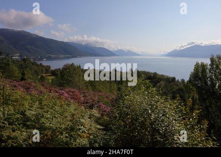 Norwegen - Sognefjord bei Nordrevik / Norwegen - Sognefjord bei Nordrevik / Stockfoto