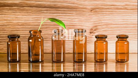 Eine Reihe von Glas-Apothekengefäßen mit einem einzigen grünen Blatt. Stockfoto