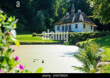 Vordingborg: Liselund Landschaftspark, Gammel Slot (Alter Palast, altes Herrenhaus), Teich, Ente, Enten, Enten, Enten, In Liselund, Moen, Dänemark Stockfoto