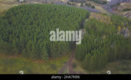 Luftaufnahme von oben, Herbstlandschaft mit wildem Wald. Clip. Hochwinkelansicht einer Straße durch den Herbstwald. Stockfoto
