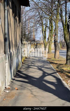 Leerer Gang zwischen Bäumen und Mauern an einem Frühlingstag. Herbst. Stockfoto