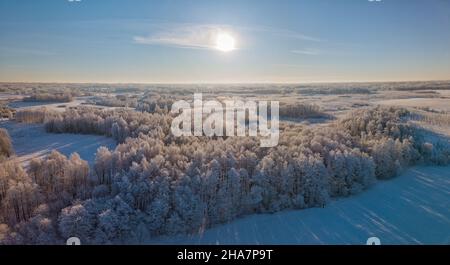 Fabelhafte Luft Winterlandschaft Hintergrund von Frost auf Ästen, extrem kalten Umgebungsbedingungen, kalten Wintertag mit Sonnenlicht Stockfoto